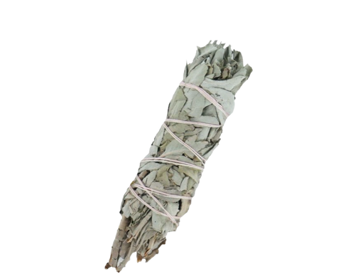 Sage